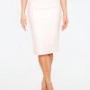 HeyYou Skirts Blush Faux Leather Pencil Skirt