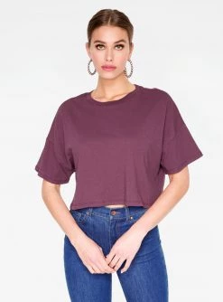 HeyYou Basic Cropped Tee In Plum